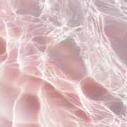 ヒメ日記 2025/08/14 21:55 投稿 きき 丸妻 横浜本店