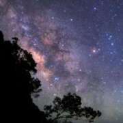 ヒメ日記 2025/08/19 13:14 投稿 きき 丸妻 横浜本店