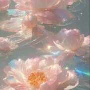 ヒメ日記 2025/08/20 17:17 投稿 きき 丸妻 横浜本店