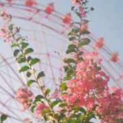 ヒメ日記 2025/08/22 21:00 投稿 きき 丸妻 横浜本店