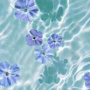 ヒメ日記 2025/08/27 09:54 投稿 きき 丸妻 横浜本店