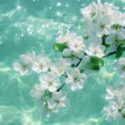 ヒメ日記 2025/09/01 21:45 投稿 きき 丸妻 横浜本店