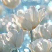 ヒメ日記 2025/09/11 22:25 投稿 きき 丸妻 横浜本店