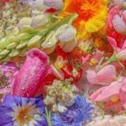 ヒメ日記 2025/09/12 10:42 投稿 きき 丸妻 横浜本店