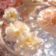 ヒメ日記 2025/09/13 14:12 投稿 きき 丸妻 横浜本店