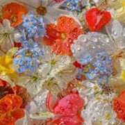 ヒメ日記 2025/09/18 22:02 投稿 きき 丸妻 横浜本店