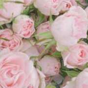 ヒメ日記 2025/09/23 11:43 投稿 きき 丸妻 横浜本店