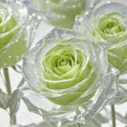 ヒメ日記 2025/09/24 21:36 投稿 きき 丸妻 横浜本店