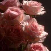 ヒメ日記 2025/11/13 22:20 投稿 きき 丸妻 横浜本店