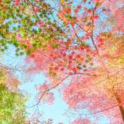 きき ひとりごと( ´-` ).｡oO（ 丸妻 横浜本店