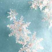 ヒメ日記 2025/12/22 22:12 投稿 きき 丸妻 横浜本店