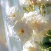 ヒメ日記 2026/01/18 23:06 投稿 きき 丸妻 横浜本店