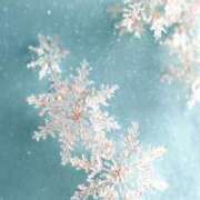 ヒメ日記 2026/01/24 23:18 投稿 きき 丸妻 横浜本店