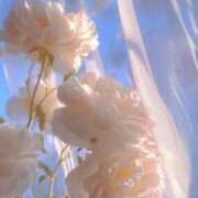 ヒメ日記 2026/02/03 22:35 投稿 きき 丸妻 横浜本店