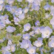 ヒメ日記 2026/02/16 19:45 投稿 きき 丸妻 横浜本店