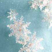 ヒメ日記 2026/03/10 23:08 投稿 きき 丸妻 横浜本店