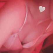 ヒメ日記 2025/11/07 06:30 投稿 つきの べっぴんコレクション