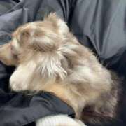 ヒメ日記 2025/10/22 12:09 投稿 みく 元町奥さま