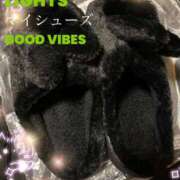 ヒメ日記 2025/11/23 08:54 投稿 みく 元町奥さま