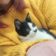 ヒメ日記 2026/03/03 21:14 投稿 みく 元町奥さま