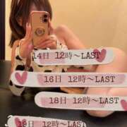 ヒメ日記 2026/09/14 06:44 投稿 みく 元町奥さま