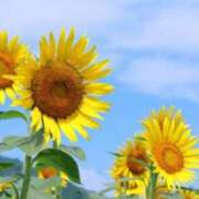 ヒメ日記 2025/08/12 15:42 投稿 三浦 ちはる こあくまな熟女たち 千葉店（KOAKUMAグループ）