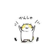 ヒメ日記 2025/07/19 00:59 投稿 戸田 鶯谷デッドボール