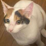 ヒメ日記 2025/07/21 20:42 投稿 きなこ 熟女の風俗最終章 西川口店