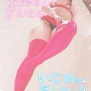 ヒメ日記 2025/11/18 15:15 投稿 りま 西東京市小平ちゃんこ