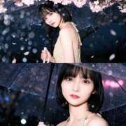 ヒメ日記 2026/03/06 14:01 投稿 えれな One More奥様　横浜関内店