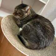 ヒメ日記 2025/09/04 19:10 投稿 森下のの ハマヘル同好会（横浜ハレ系）