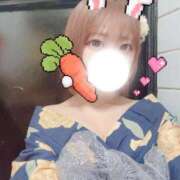 ヒメ日記 2025/08/29 20:55 投稿 凪桜（なぎさ） NOA（ノア）