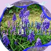 ヒメ日記 2026/07/29 11:57 投稿 村上ゆき穂 五十路マダム 博多店