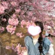 ヒメ日記 2026/04/01 19:29 投稿 由浅　ゆきな【奥様】 isai～愛妻