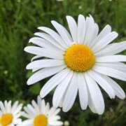 ヒメ日記 2025/07/22 03:12 投稿 みなこ 宮城♂風俗の神様 仙台店