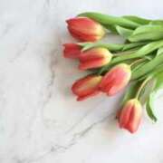 ヒメ日記 2025/07/23 04:32 投稿 みなこ 宮城♂風俗の神様 仙台店