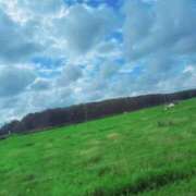 ヒメ日記 2025/11/16 12:53 投稿 ほたる 府中ダービー