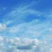 ヒメ日記 2025/12/12 11:53 投稿 ほたる 府中ダービー