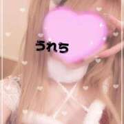 ヒメ日記 2025/12/24 11:55 投稿 ほたる 府中ダービー