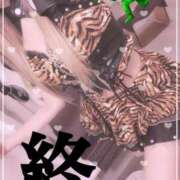 ヒメ日記 2026/01/31 08:23 投稿 ほたる 府中ダービー