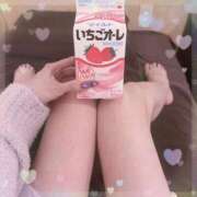 ほたる 🩷📢本日のお知らせ📢🩷 府中ダービー