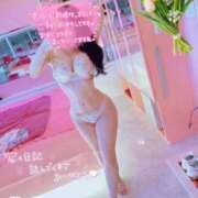 ヒメ日記 2025/07/22 16:34 投稿 べる 桃李（とうり）