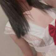 ヒメ日記 2025/11/14 10:06 投稿 みんと 美女のカタチ