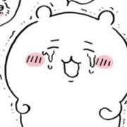 ヒメ日記 2025/11/14 13:24 投稿 ヒビキ秘書 秘書の品格 クラブアッシュ ヴァリエ