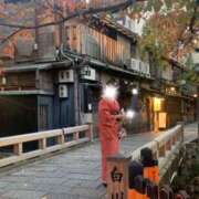 ヒメ日記 2025/11/17 20:31 投稿 ヒビキ秘書 秘書の品格 クラブアッシュ ヴァリエ