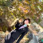 ヒメ日記 2025/11/27 13:18 投稿 ヒビキ秘書 秘書の品格 クラブアッシュ ヴァリエ