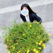 ヒメ日記 2025/12/01 01:06 投稿 ヒビキ秘書 秘書の品格 クラブアッシュ ヴァリエ