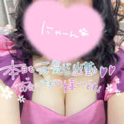 ヒメ日記 2025/10/07 17:30 投稿 ひかり One More奥様　厚木店