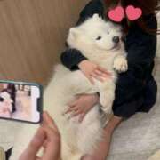 ヒメ日記 2025/09/12 15:25 投稿 えり ピュアコス学園