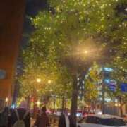 ヒメ日記 2025/11/20 12:04 投稿 きらら BLUE BIRD (ブルーバード) 上越